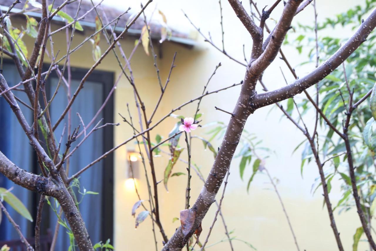 L'Amant Homestay Da Lat Exterior photo